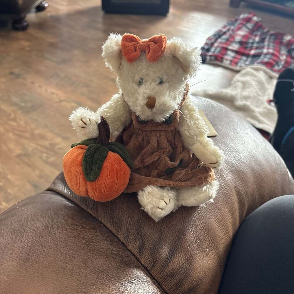 Vintage Collection: Boyds "Marvin" "Buffington" & "Felina" Never Used!!!